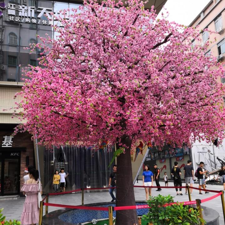 芳￡妞