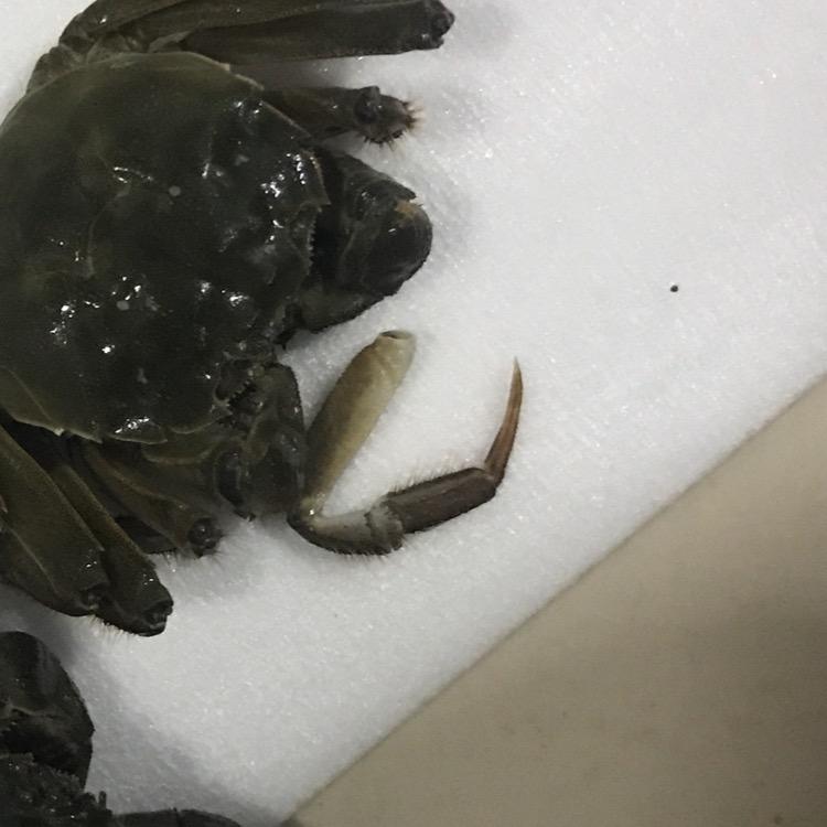 童年曾经的你