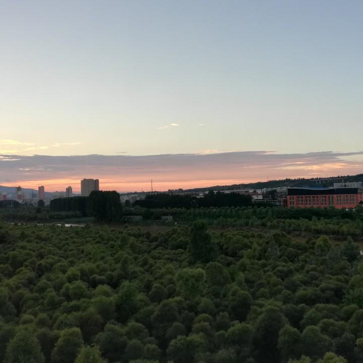 粉草