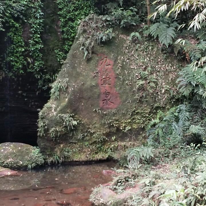 放飞自我