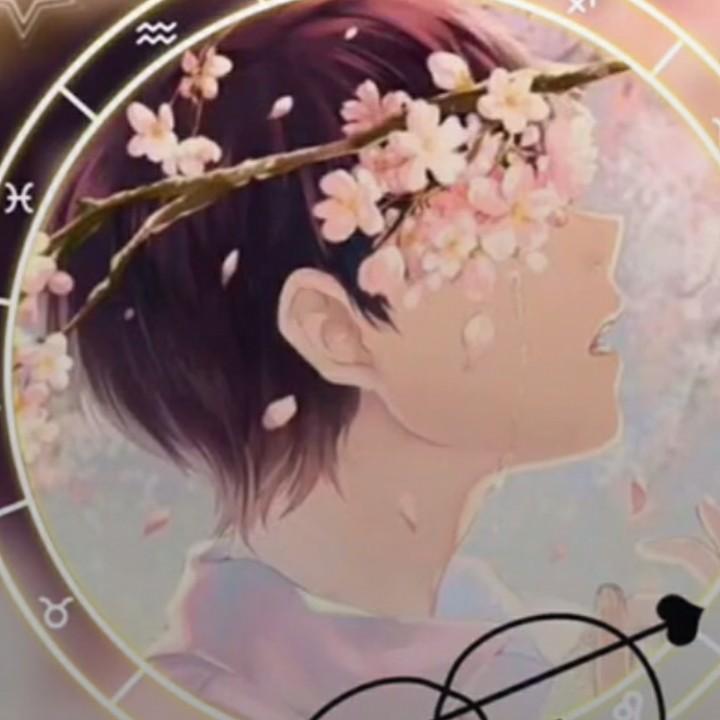 是无暮呀