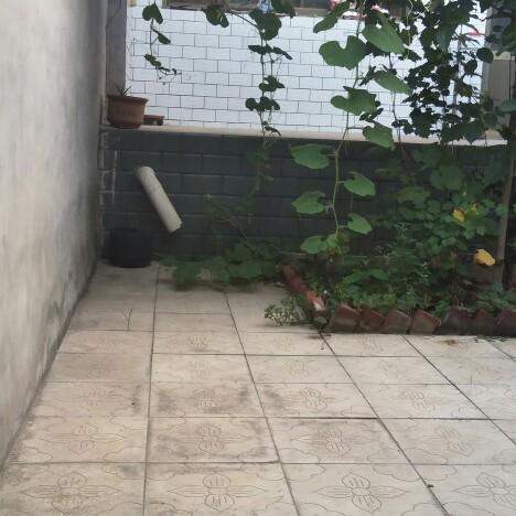 等到花儿开了就去看你