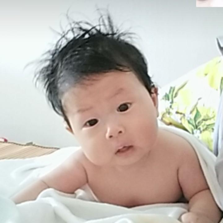 美羊羊