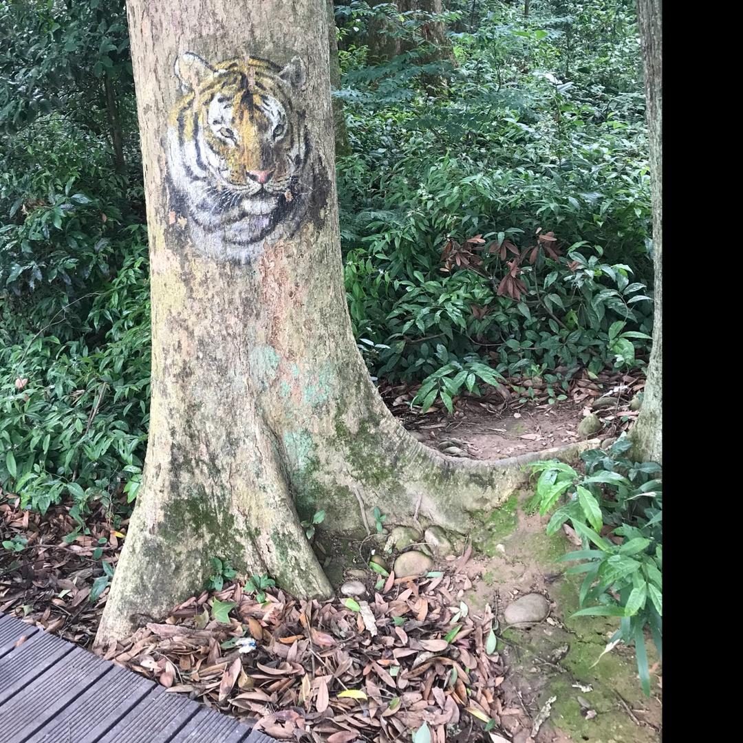 稻禄