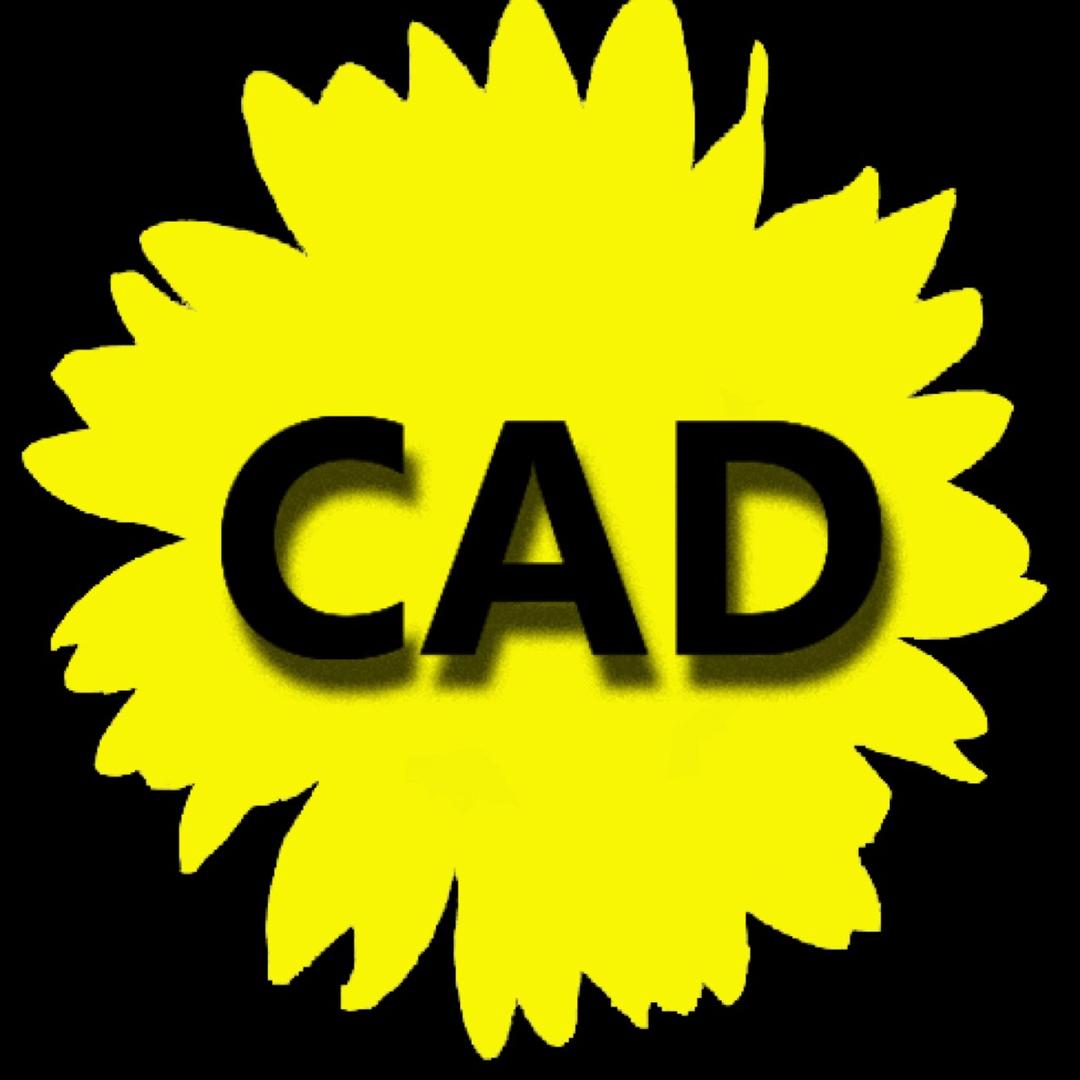 小黄花CAD