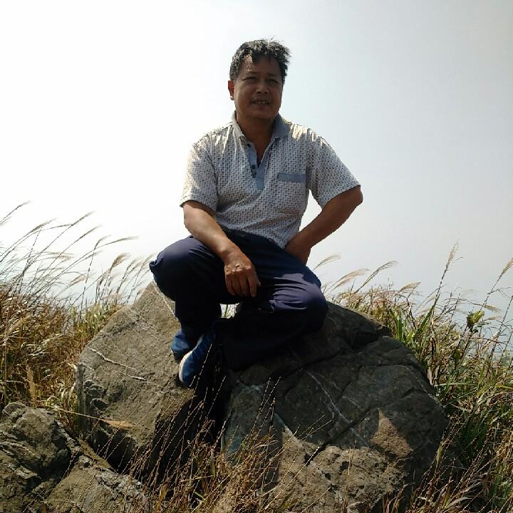 杨总