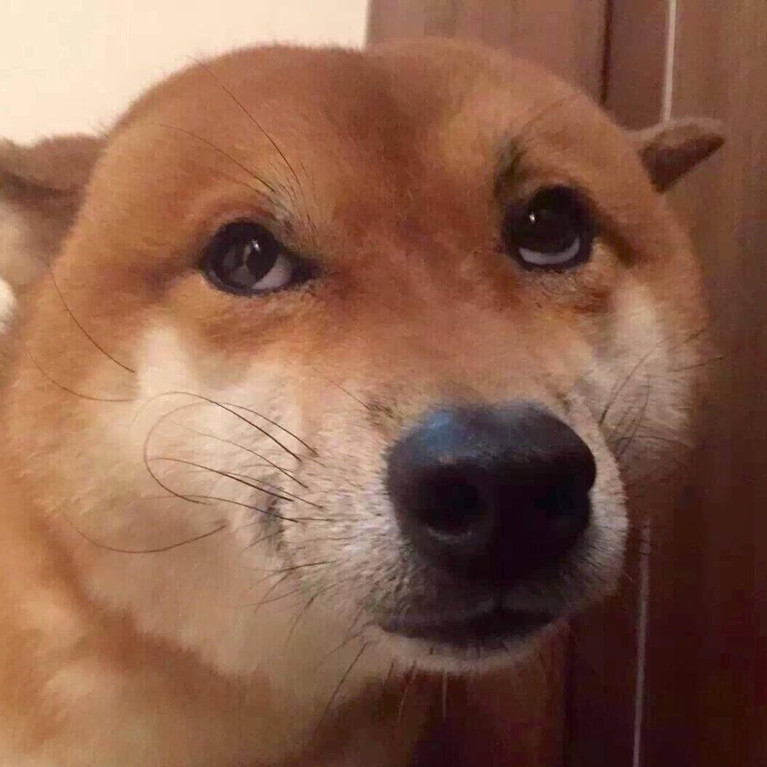 原来名字可以取这么长