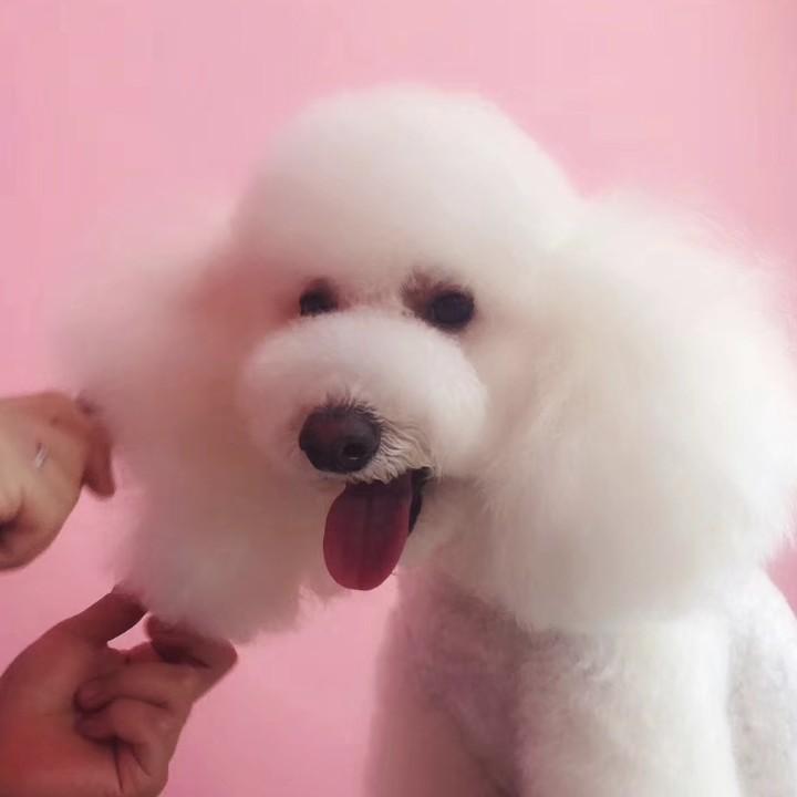 宠缘宠物生活馆