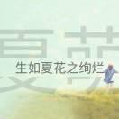 禧凯瑞壁挂炉夏萌