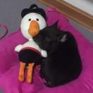 大连有个万爱酒店呀