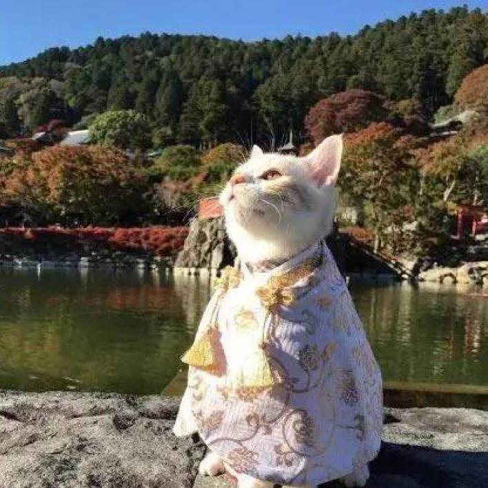 你瞅啥