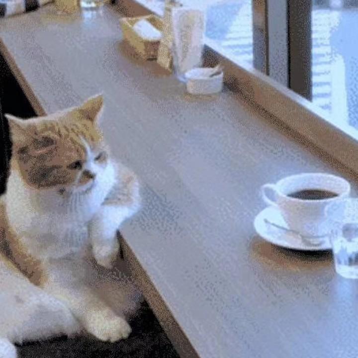 思绪万千丶