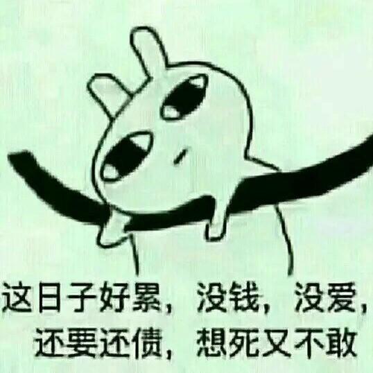 0不拽，怎么赢世界