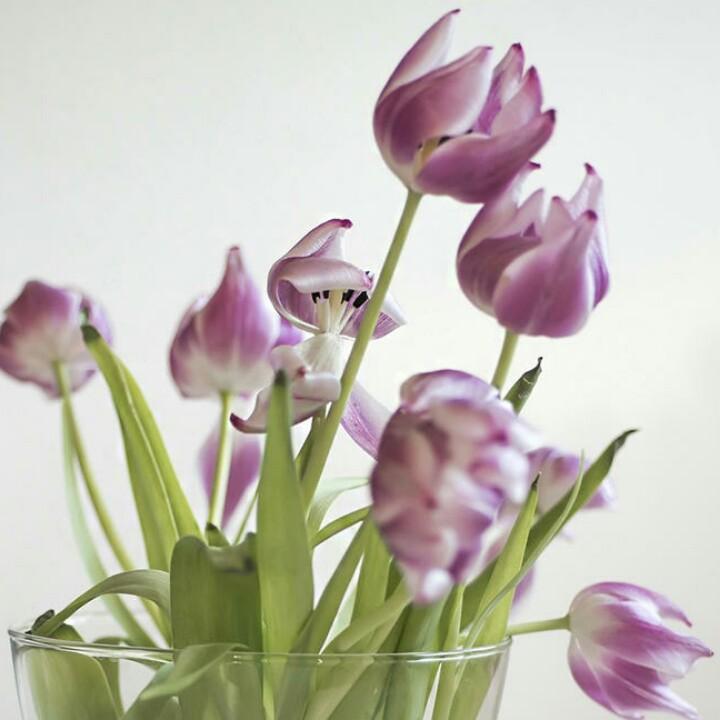 白酒一杯醉我心