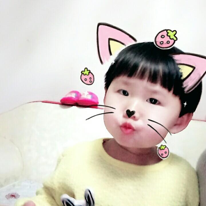 梦叶紫仙