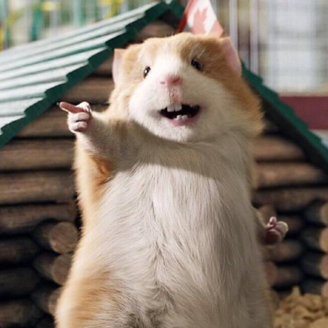 竣哥的幸福生活