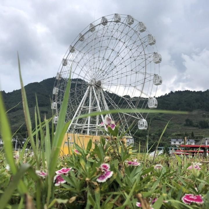 小欢妞儿