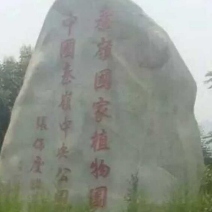秦岭