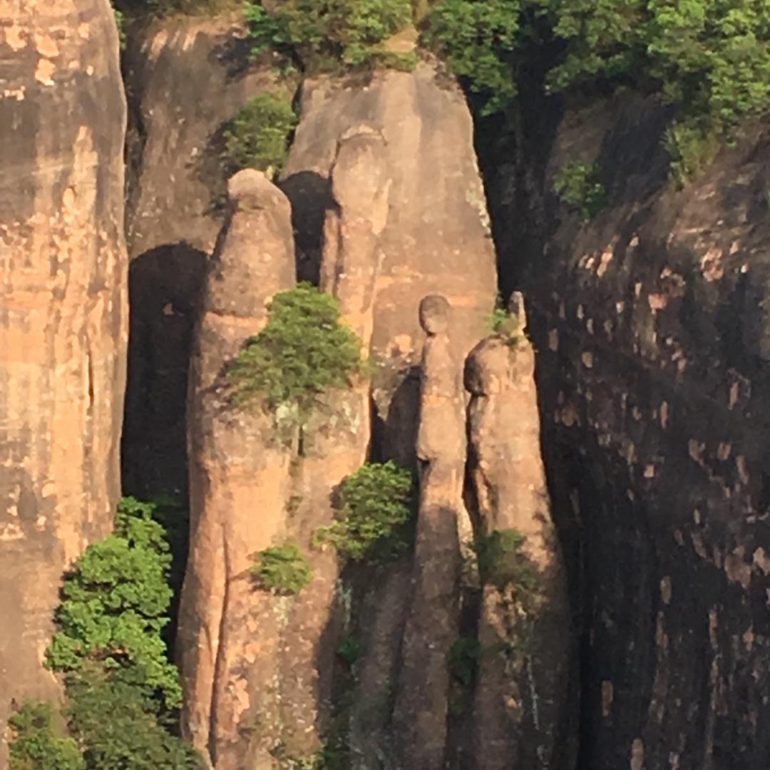 落叶归根