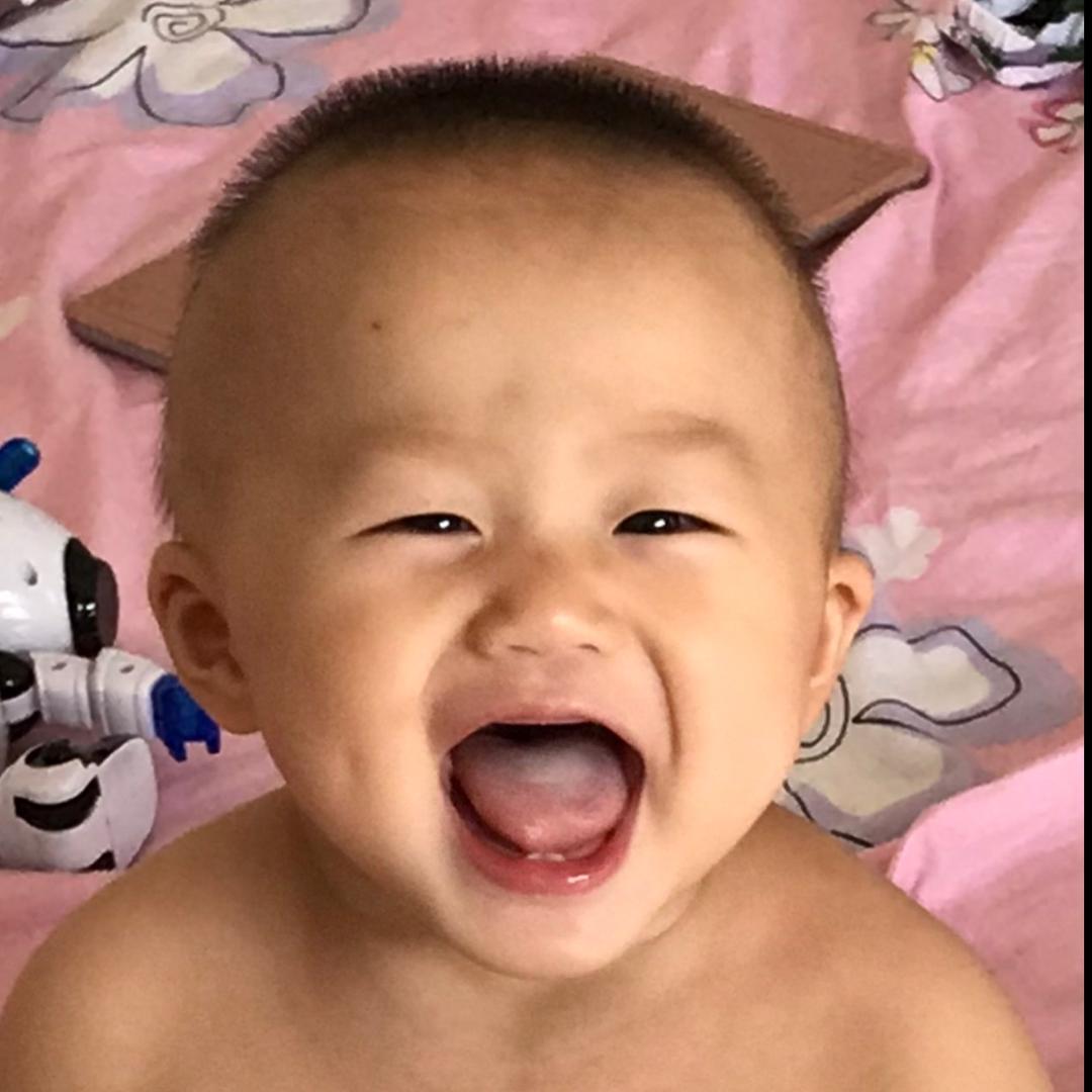 骑乌龟追流星