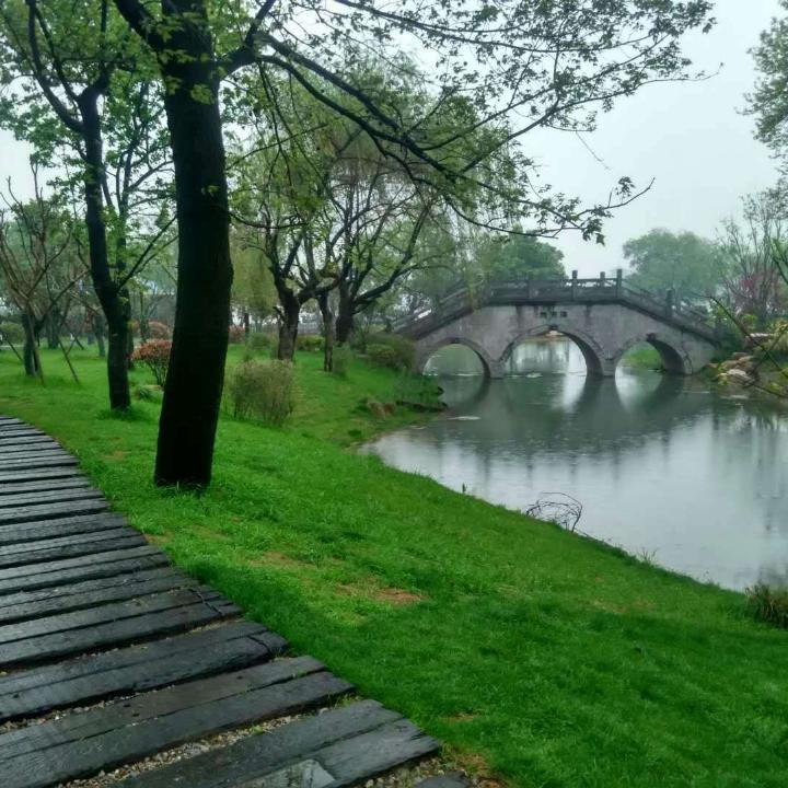 鹏哥