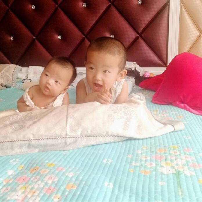 🌸🌸 `` 心若向暖 安之若素 