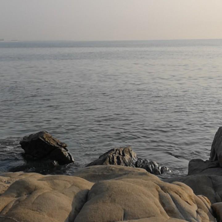 扭（牛）转乾（钱）坤