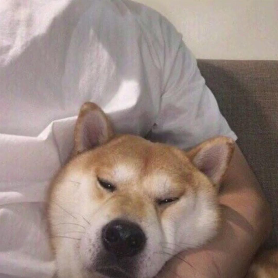 长情-