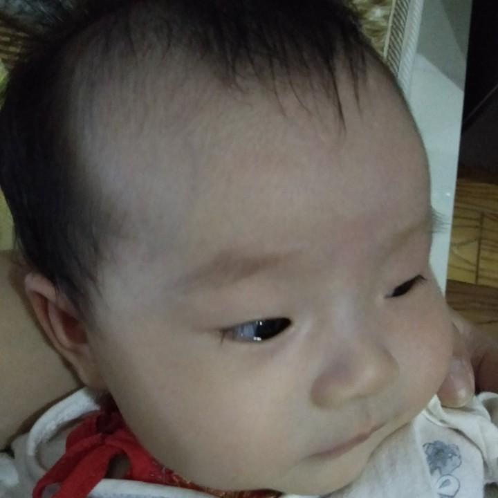 香草小萌蛋