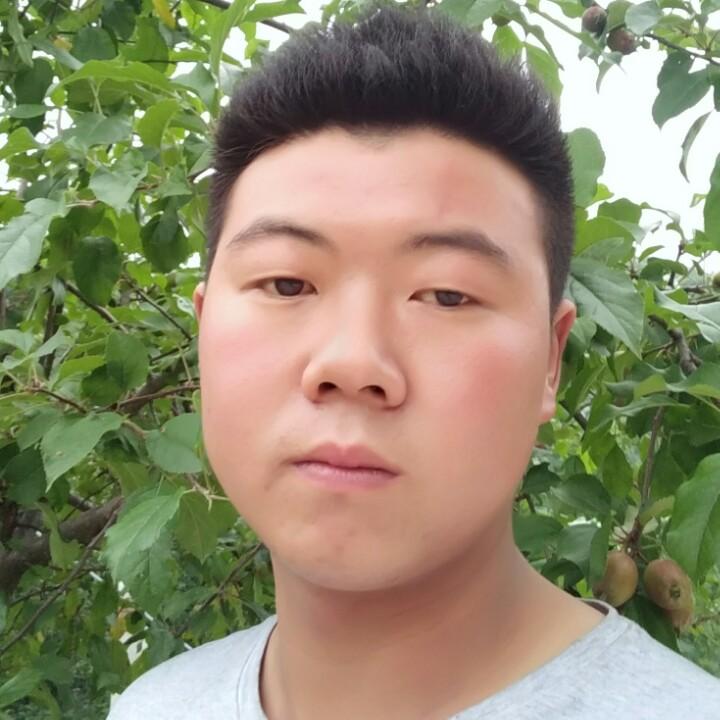 白龙真情