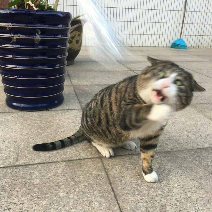 红红红红红红红周