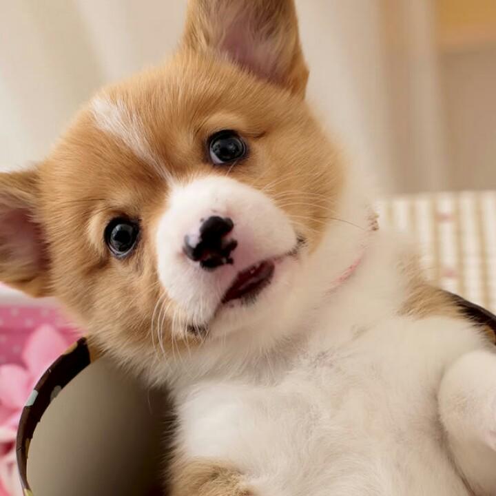 @程