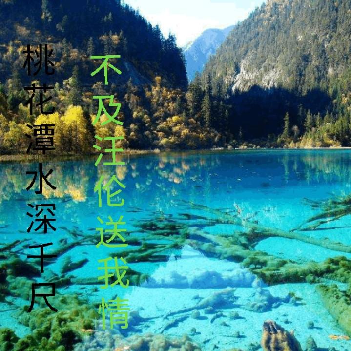 一路走过来7