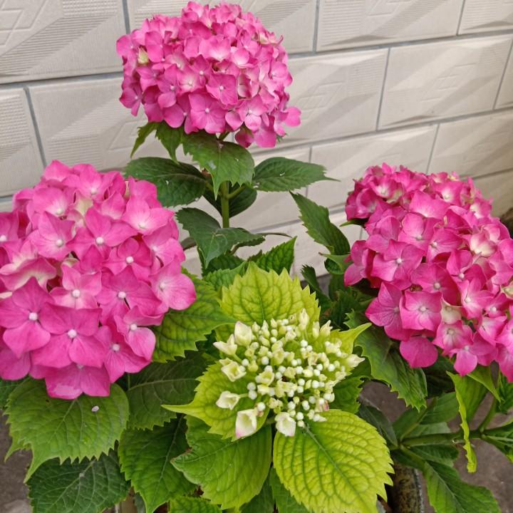 怎样