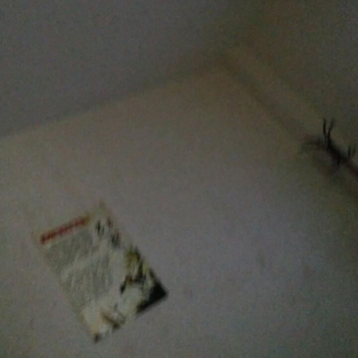 好想
