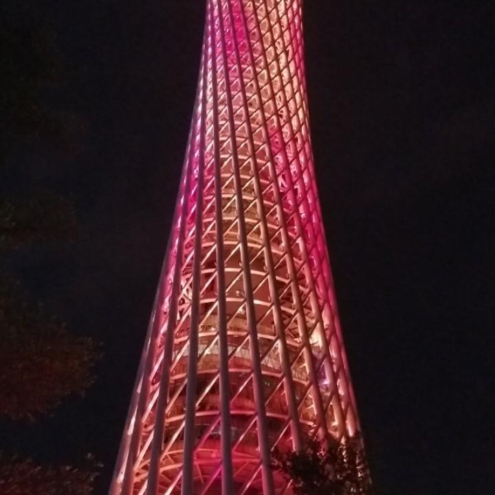 浮生相忘