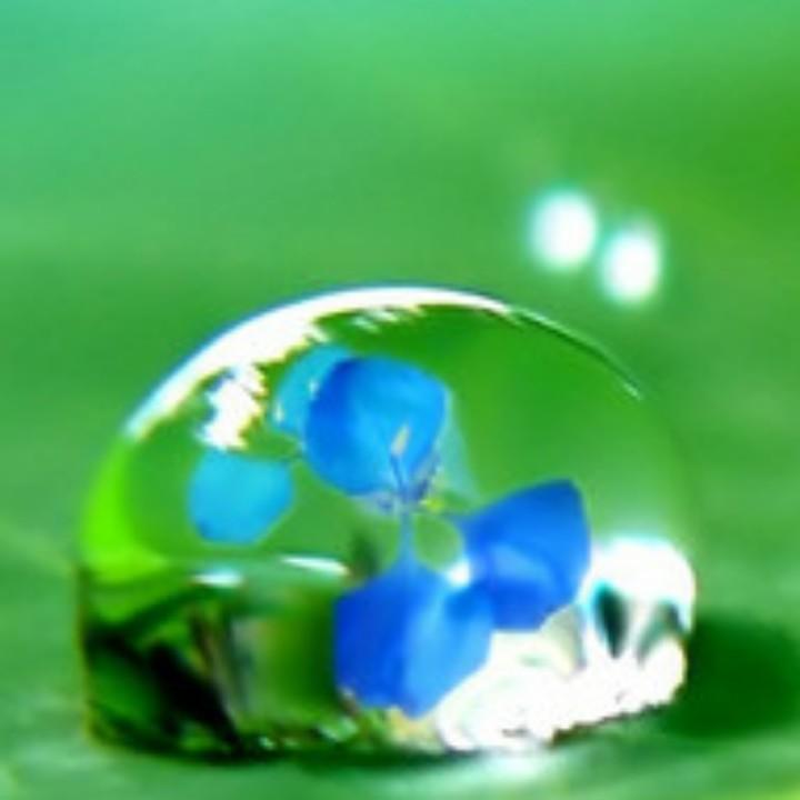 彩霞