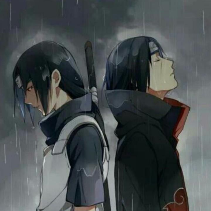 老向导