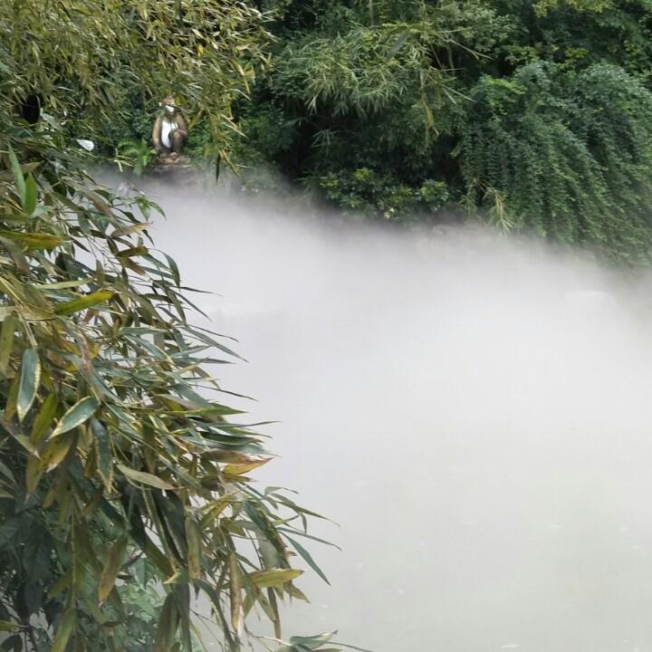 奇迹