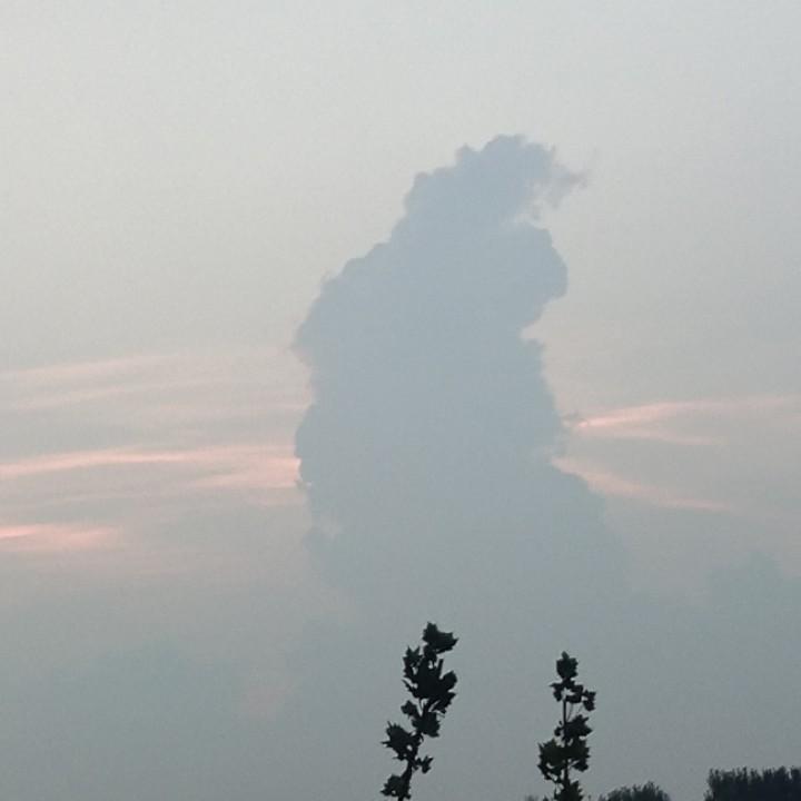 🐏⁰⁴.₂₀朱℘࿐