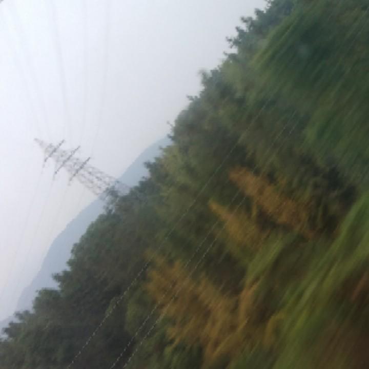 情到深处