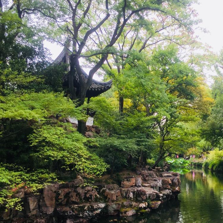 牵着蜗牛去散步