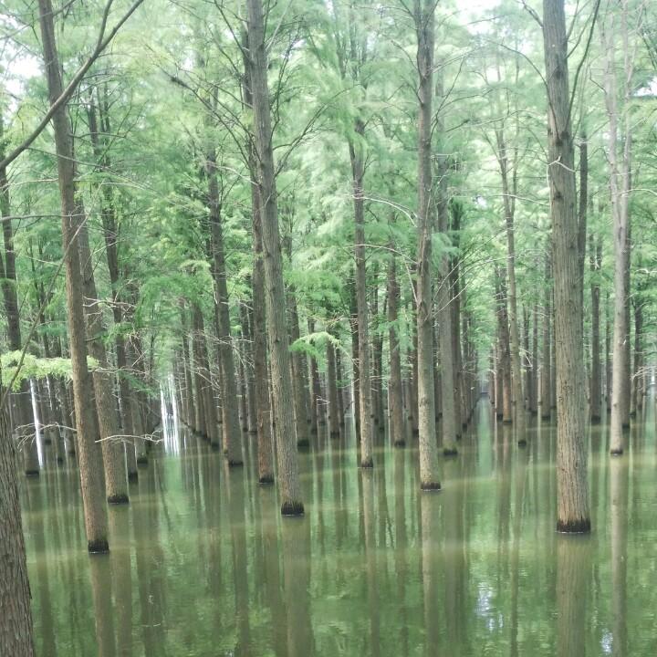 石墨烯军锅