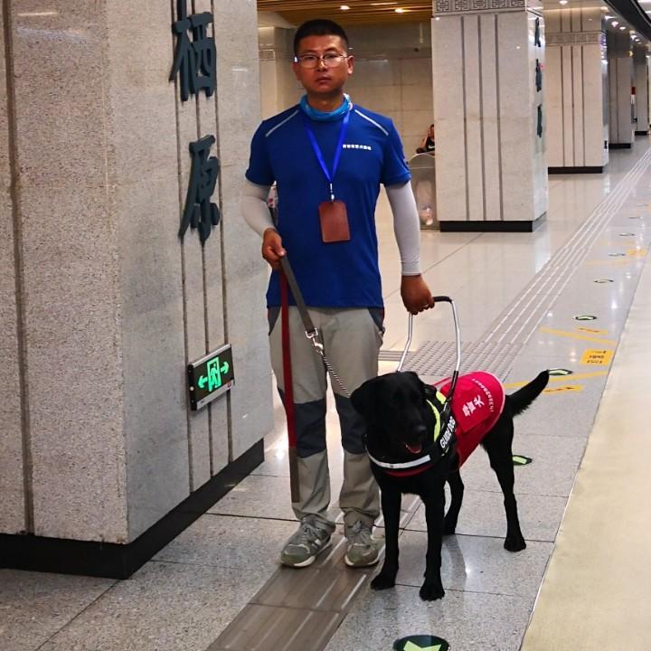 海贝佳宠物训练寄养中心