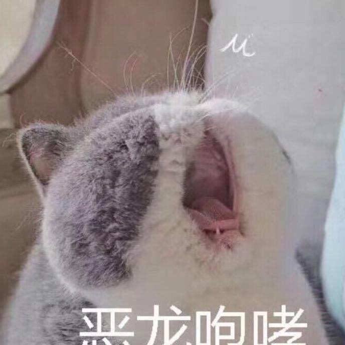 嬷一嬷单车变摩托