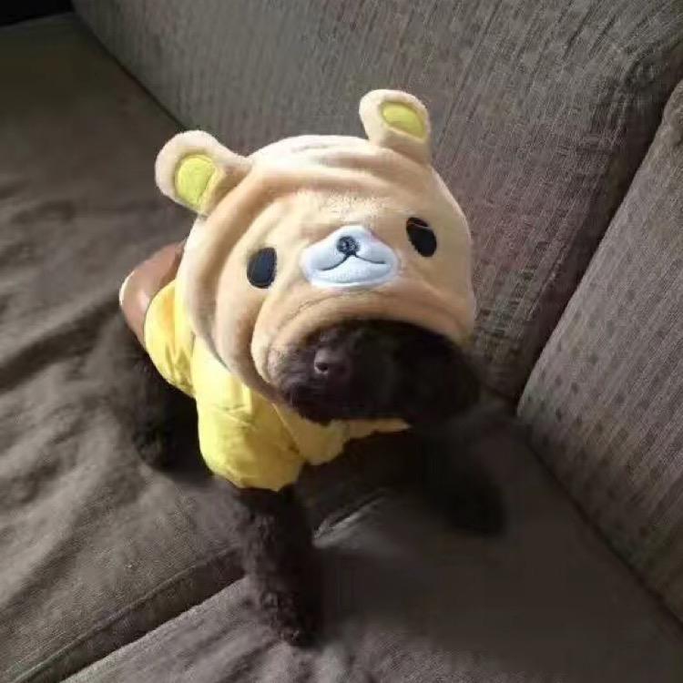 小太阳