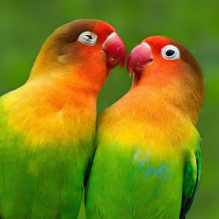 🐲感悟🐲人生🐲