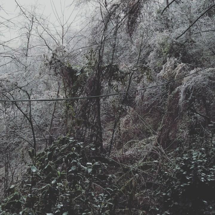 陆安辉