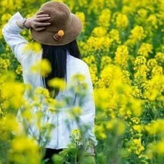 眉县房产经纪人（请勿连赞）