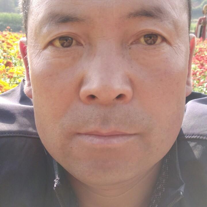 迟来的爱